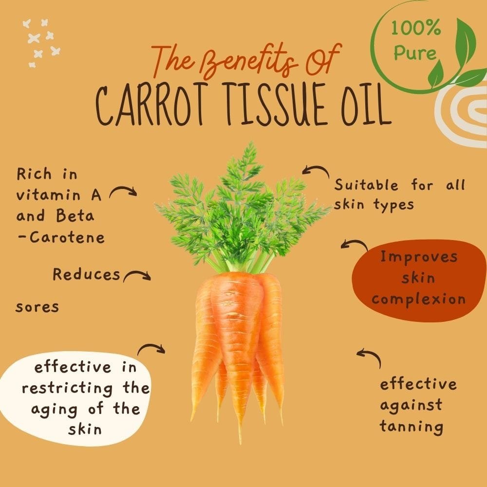 carrottissue oil