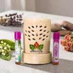 Sprinkler combo1 Electric Oil Warmer
