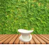 Gratus natural