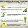 Liquid Castile Soap Ingredients (1)