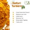 Kasturi Turmeric gallery