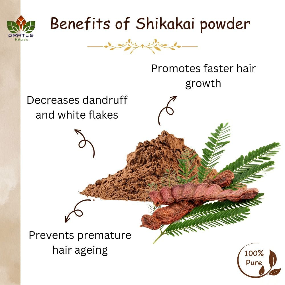 benefits of shikakai powder (1)