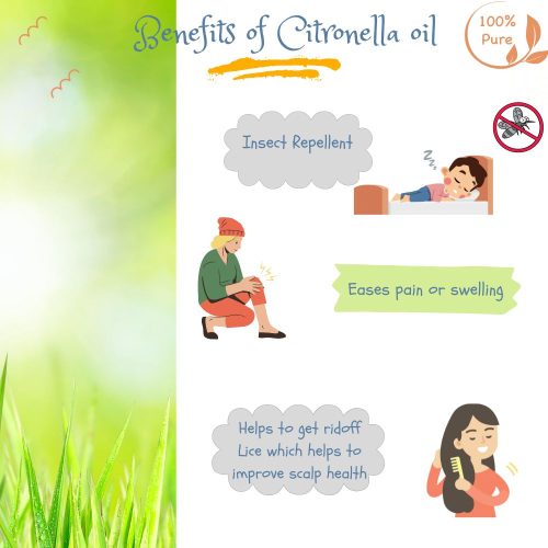 Benefits of Citronella oil